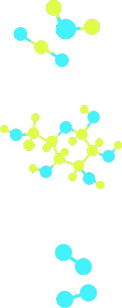 Five molecular models, one each representing carbon dioxide, water, and glucose and two representing oxygen.